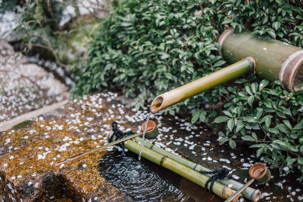 bamboo-pour-water-sakura-leaf