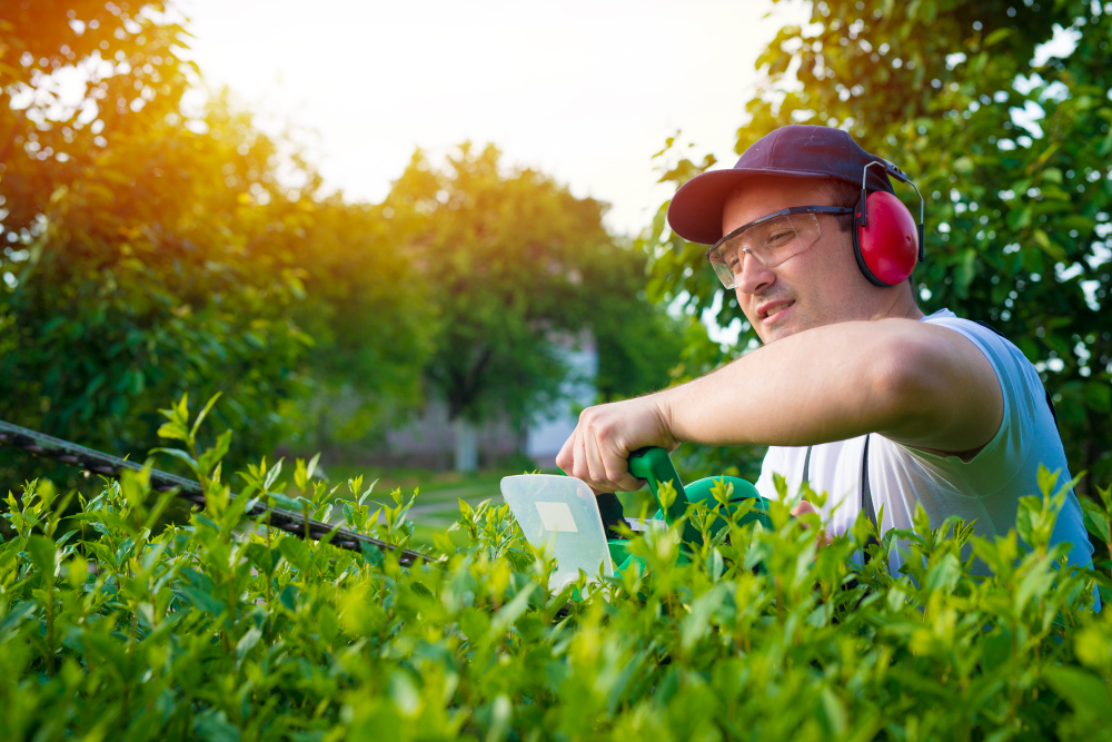 professional-gardener-trimming-hedge-yard