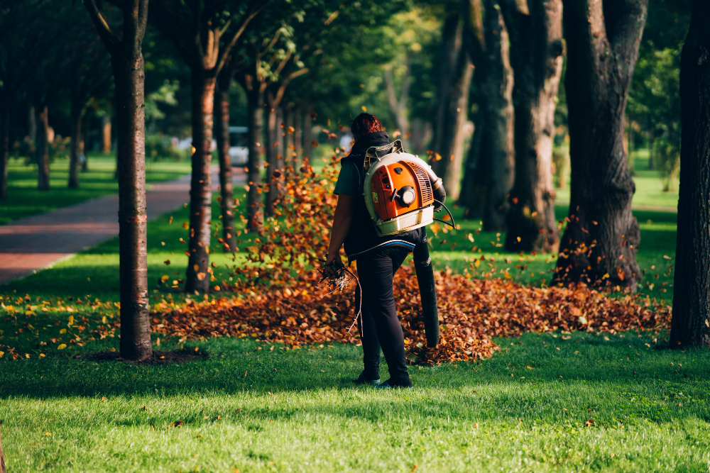 Read more about the article Transform Your Front Yard with Our Expert Landscaping Tips